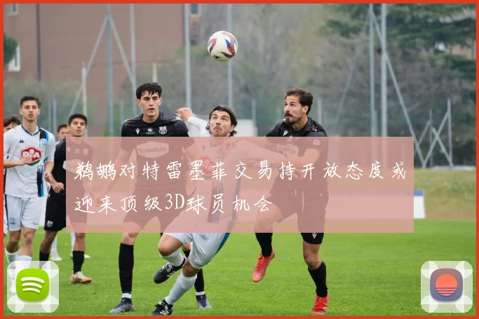 鹈鹕对特雷墨菲交易持开放态度或迎来顶级3D球员机会